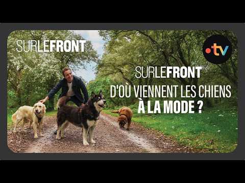 Where do trendy dogs come from? (Full Episode) - Sur le front with Hugo Clément