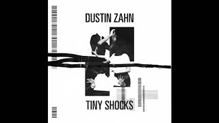 Dustin Zahn - Tiny Shocks video