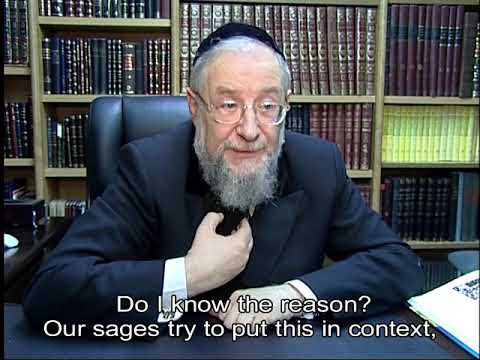 Rabbi Yisrael Meir Lau, former Chief Rabbi of Israel, Holocaust survivor