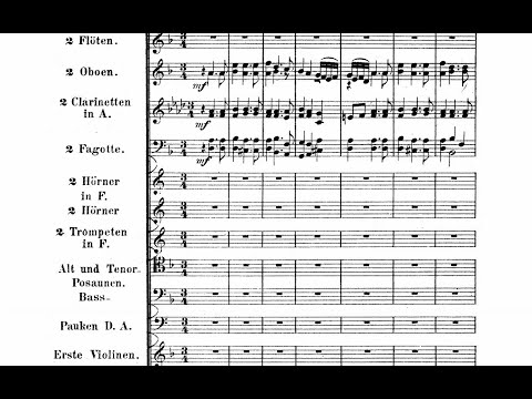 Chaconne from Violin Partita No.2 By J.S. Bach, Arranged By Joachim Raff (with Score)