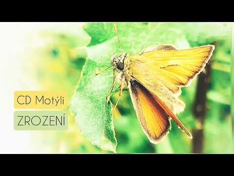 Youtube Video YzYzYJjHfXk