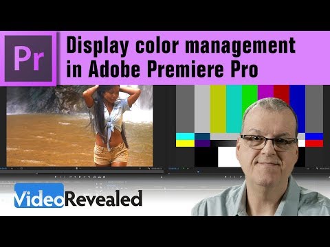 Display color management in Adobe Premiere Pro
