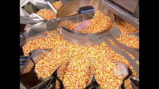 CAPTAIN BEEFHEART -- KANDY KORN