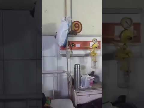 Gonda Medical College Ward में Rat Video वायरल, Swachhta पर सवाल