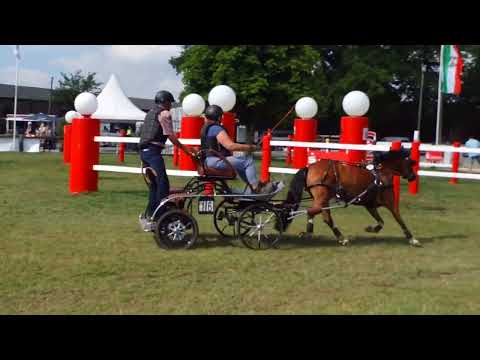 Fahrturnier Ostenfelde 21.8.2022