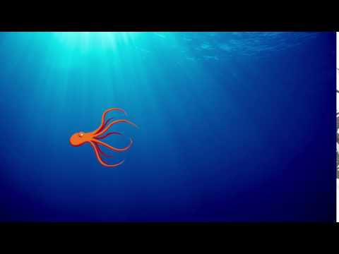 OctopusPMI video thumbnail