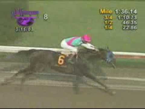 Empire Maker - 2003 Florida Derby(Viewer Discretion Advised)