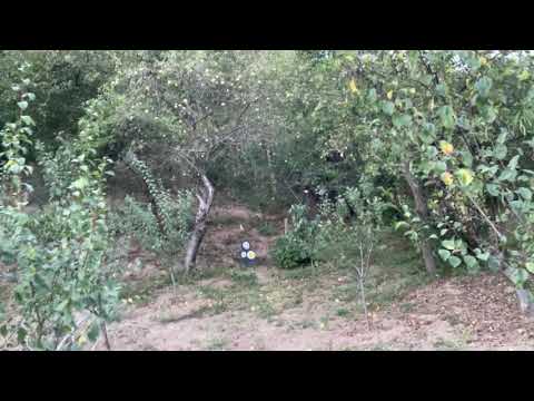 Instinctive archery shooting - Bust