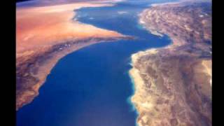 Dakota Lee -- Far From the Arms of Hunger