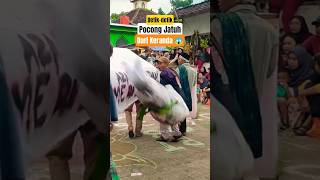 Download lagu LUCU !! Detik detik Pocong Jatuh dari Keranda #karnaval #karnavalkreatif #karnavallucu mp3 Download lagu LUCU !! Detik detik Pocong Jatuh dari Keranda #karnaval #karnavalkreatif #karnavallucu mp3