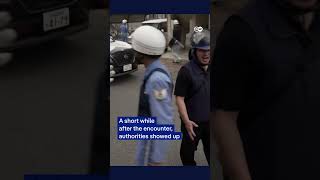 Japan authorities tranquilize and capture bear roaming Utsunomiya streets