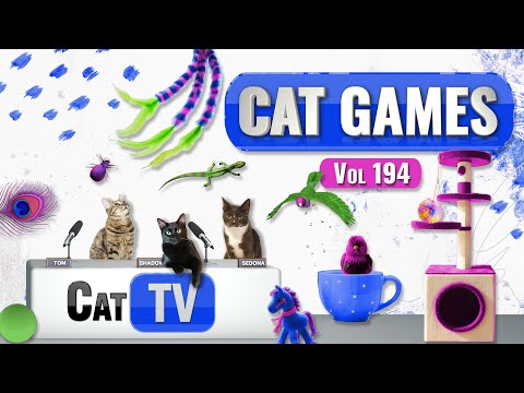 CAT Games | Ultimate Cat TV Compilation Vol 194 | 8 HOURS  🐝🐞🦋🦎🦜🐜🐭🧵