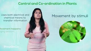 Control and Coordination -7 | Control and Coordination in plants | Movement due to stimuli |Class 10