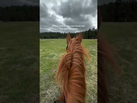 The ground is about to look tasty 😂😭 #like #horse #viral #blowup #sub #shorts #fyp #scary #fail