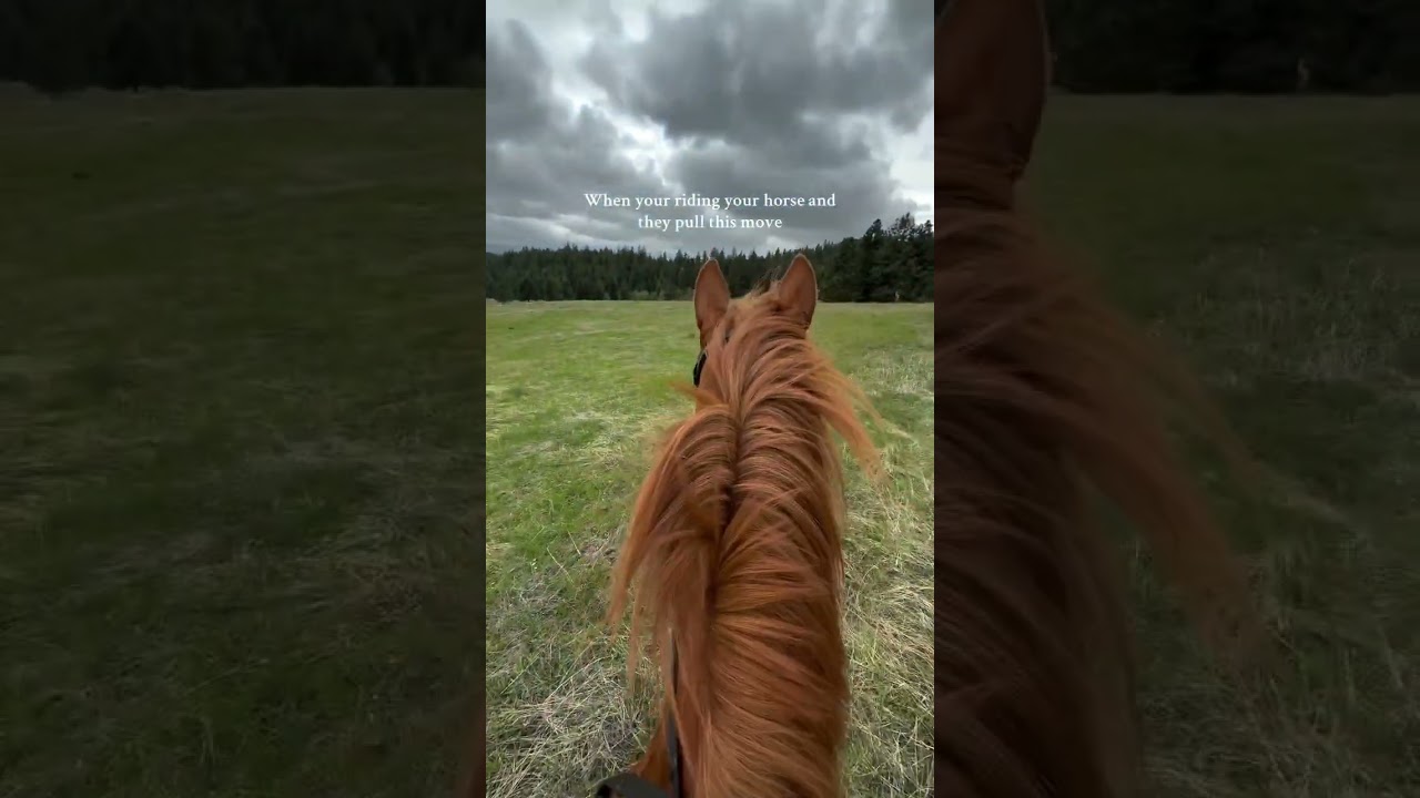 The ground is about to look tasty 😂😭 #like #horse #viral #blowup #sub #shorts #fyp #scary #fail