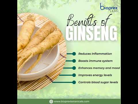 Instazen panax ginseng capsule, packaging type: bottle, 500 ...