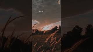 Download lagu Kata (CINTA) singkat BAHASA JAWA mp3