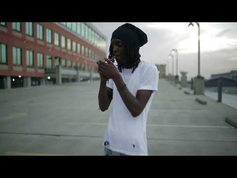 Wildlife Jay - Perfect Timing