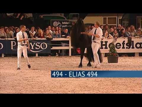 Hengstenkeuring 2017 – Rubriek 08