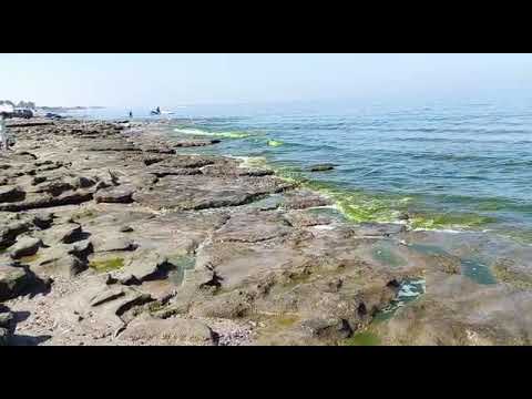 Ghubra Beach -Muscat Green Algae water