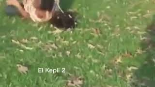 When your favorite part of your favorite song is about to come