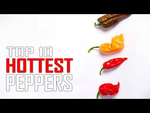 Top 10 worlds hottest peppers