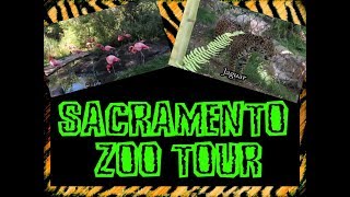 Sacramento Zoo Tour 2018