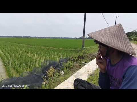 Testimoni dari Lebak Banten
