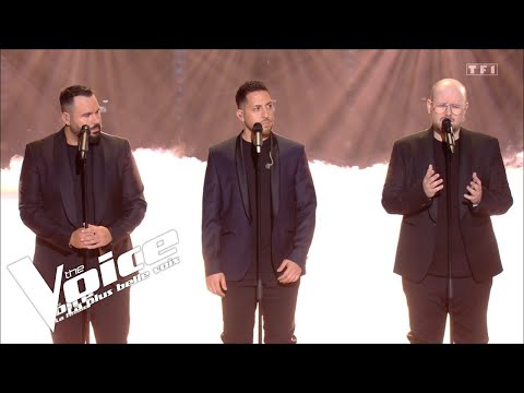 Il Cello - Une femme | The Voice 2025 | La finale