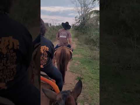 Cavalgada Na Mata Pantaneira no Mato Grosso do Sul.