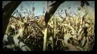 Videoklip No name - Panic a panna s textom piesne