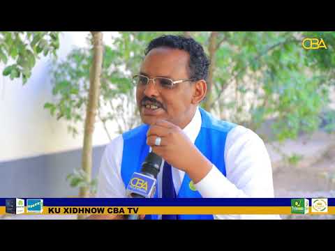 Beesha Toljecle oo aan kasoo jeedo waxay kamid tahay beelaha Somaliland lagu Dulmiyey. Xildhibaan Timojilic