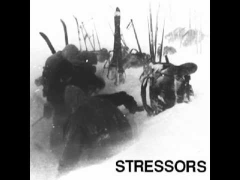 Stressors - Psychotic Break