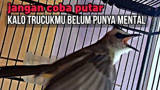 Download lagu pancingan trucukan gacor dor Garuda ngekek ropel p... mp3