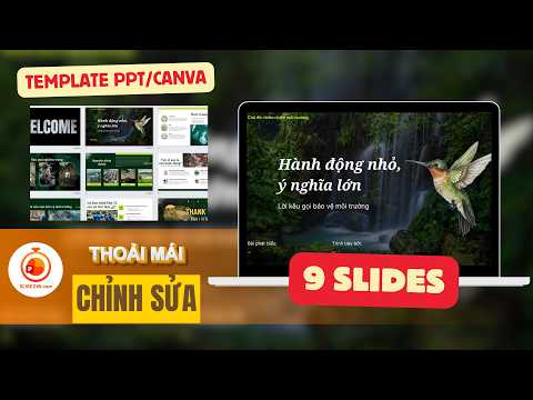 Bảo vệ môi trường: Thực trạng, nguyên nhân và giải pháp thumbnail