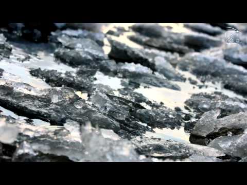 Khalil Gibran "Von der Liebe"-  gelesen von Jens Böttcher