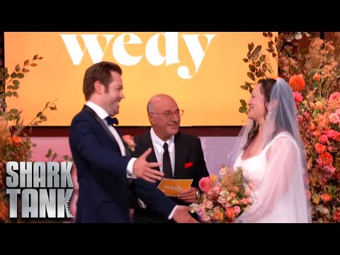 Wedy Shark Tank Pitch