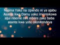 Neema By Vestine And Dorcas Lyrics Video