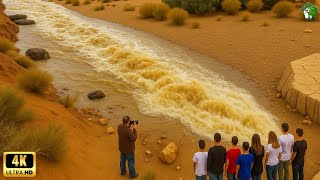 UNSEEN WONDERS OF PLANET | One in A Billion Moments in Nature #2