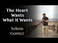 Selena Gomez - The Heart Wants What It Wants ...