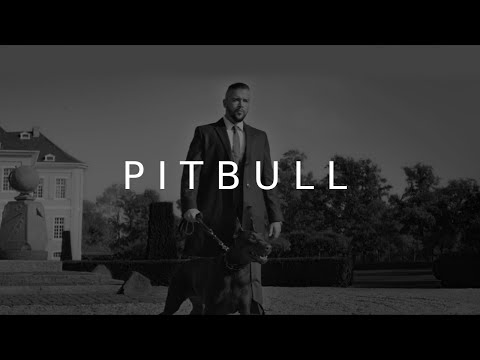 Epic Kollegah ZUHÄLTERTAPE Type BEAT - PITBULL (prod.  KlickBoomBeatZ)