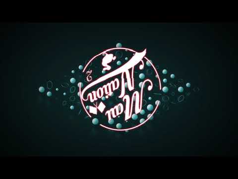 Post Malone Ft  21 Savage   Rockstar SKVNDV & WILD FUNK 2K18 REFLIP