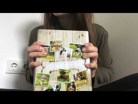 Fressnapf Welpen Box 🐶