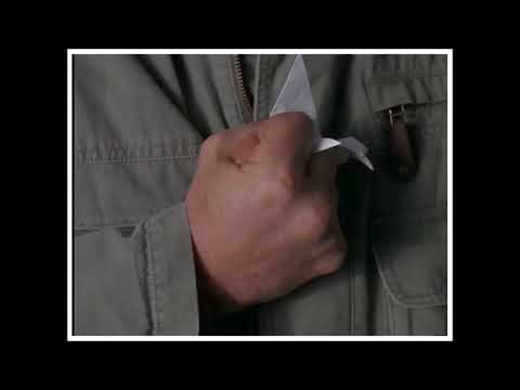 Mark Snow - Crushed Dove (MillenniuM : Paper Dove - Part 1 - 22X22)