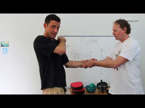 002 Force in Wing Chun explained by Andre Quin, Momentum Wing Chun