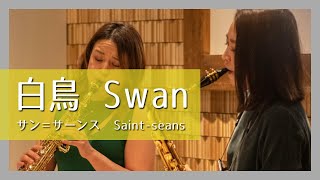 Download lagu サン=サーンス:白鳥(サックスデュオ)/Saint-seans:Swan(Sax Duo)朝♪クラ~Asa-Kura~ mp3 Download lagu サン=サーンス:白鳥(サックスデュオ)/Saint-seans:Swan(Sax Duo)朝♪クラ~Asa-Kura~ mp3