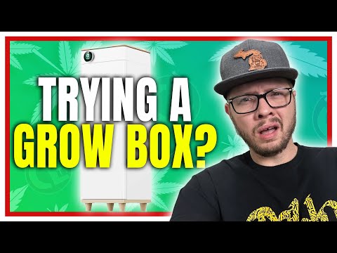 My First Time Using a Grow Box [Hey Abby First Impression]