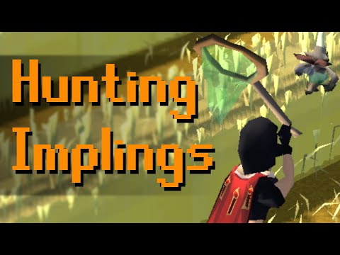 Hunting Implings Money Making Guide (Eclectic+)