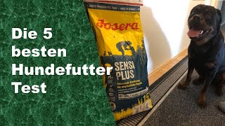 besten Hundefutter Test 2026