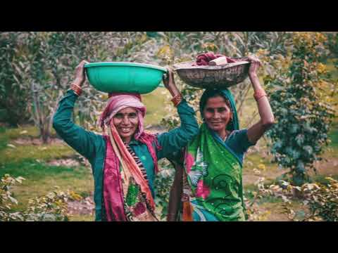 Diagnosis of Breast Cancer in Northern India